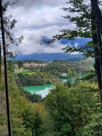  A DUE PASSI DA TOLMEZZO