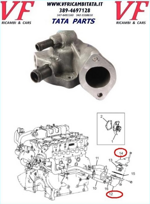 safari-telco-xenon-a1n-calotta-termostato-22-dicor-cod-j0050trv264