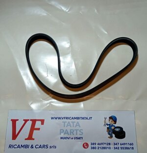 safari-telco-xenon-a3-cinghia-servizi-poly-v-cod-b0097-trv17
