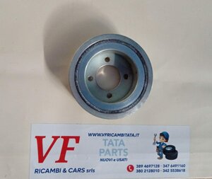 indica-indigo-puleggia-albero-motore-cod-ar0089-79b