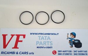 indica-indigo-termostato-benzina-anello-sede-o-ring-cod-l0089-69b