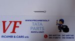 safari-telco-xenon-barretta-cod-at0028-15b