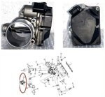 pick-up-xenon-e-tata-aria-110-kw-valvola-a-farfalla-elettronica-cod-b0027-26e