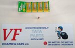 safari-telco-xenon-g-safaritl-pu-batteria-remota-cod-as0078
