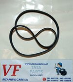 safari-telco-xenon-e5-cinghia-servizi-alternatore-cod-y0013trv90