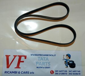 safari-telco-xenon-e7-cinghia-servizi-poly-v-alternatore-1075-cod-y0011-trv90