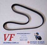 safari-telco-xenon-e-cinghia-alternatore-6pk-1050-cod-y004530d