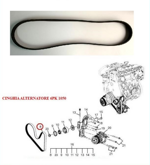 safari-telco-xenon-e6-cinghia-servizi-alternatore-6-pk-1050-cod-y005030d