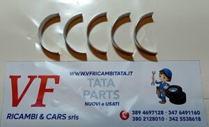 safari-telco-xenon-b4a-bronzina-di-banco-cod-a0089trv259