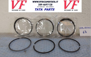 safari-telco-xenon-b1o-fascia-elastica-22l-argento-cod-a0090trv17