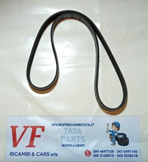 safari-telco-xenon-e8-cinghia-servizi-poly-v-alternatore-6gole-cod-y0014-trv85