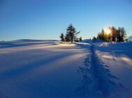 sunrise-7455740_640.jpeg