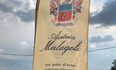 7c96674c-40e2-4dce-a4b4-7dcff565a06b.jpeg 7c96674c-40e2-4dce-a4b4-7dcff565a06b.jpeg