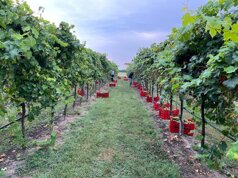 d89bb5f3-8cf9-43b4-9987-ecc71f708743.jpeg d89bb5f3-8cf9-43b4-9987-ecc71f708743.jpeg