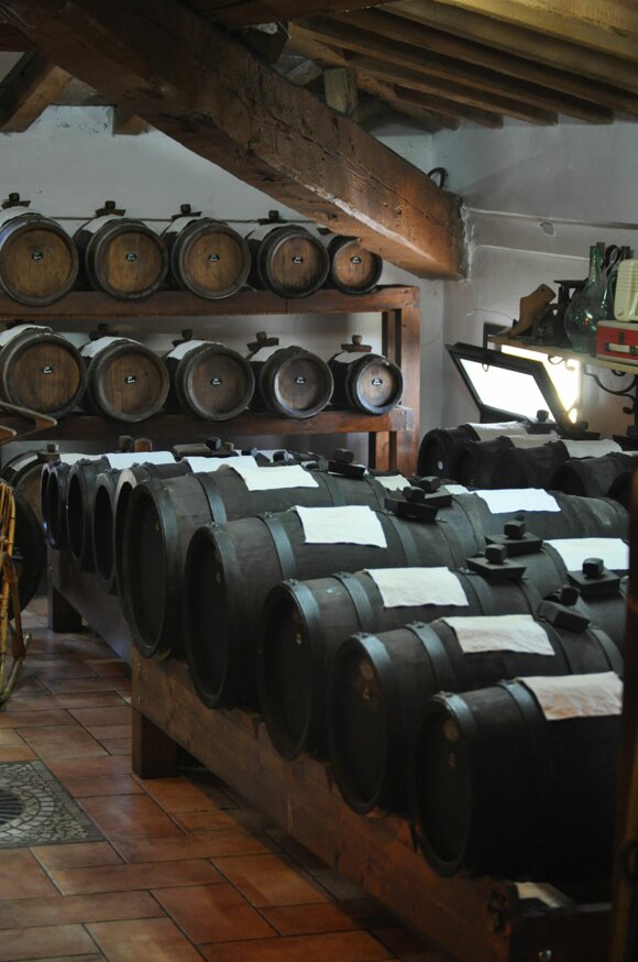 dsc_0487.jpeg dsc_0487.jpeg