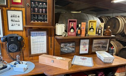 logpo-removebg-preview logpo-removebg-preview