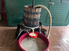 755896e2-8f83-4082-9d8c-dd098024ca92.jpeg 755896e2-8f83-4082-9d8c-dd098024ca92.jpeg