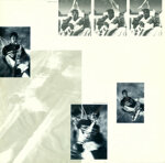 stingthe-dream-of-the-blue-turtles1985