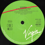 sandra12-in-the-heat-of-the-night1985