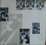 stingthe-dream-of-the-blue-turtles-1985