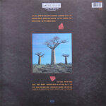 pink-floyd2lp-delicate-sound-of-thunder1988