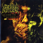 visceral-bleedingcd-absorbing-the-disarray2007