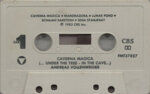 andreas-vollenweidercaverna-magica-under-the-tree-in-the-cave-dolby-system1983