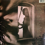 al-di-meola2lp-splendido-hotel1980