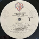 david-sanborntaking-off1975