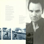 stingthe-dream-of-the-blue-turtles1985