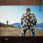 pink-floyd2lp-delicate-sound-of-thunder1988