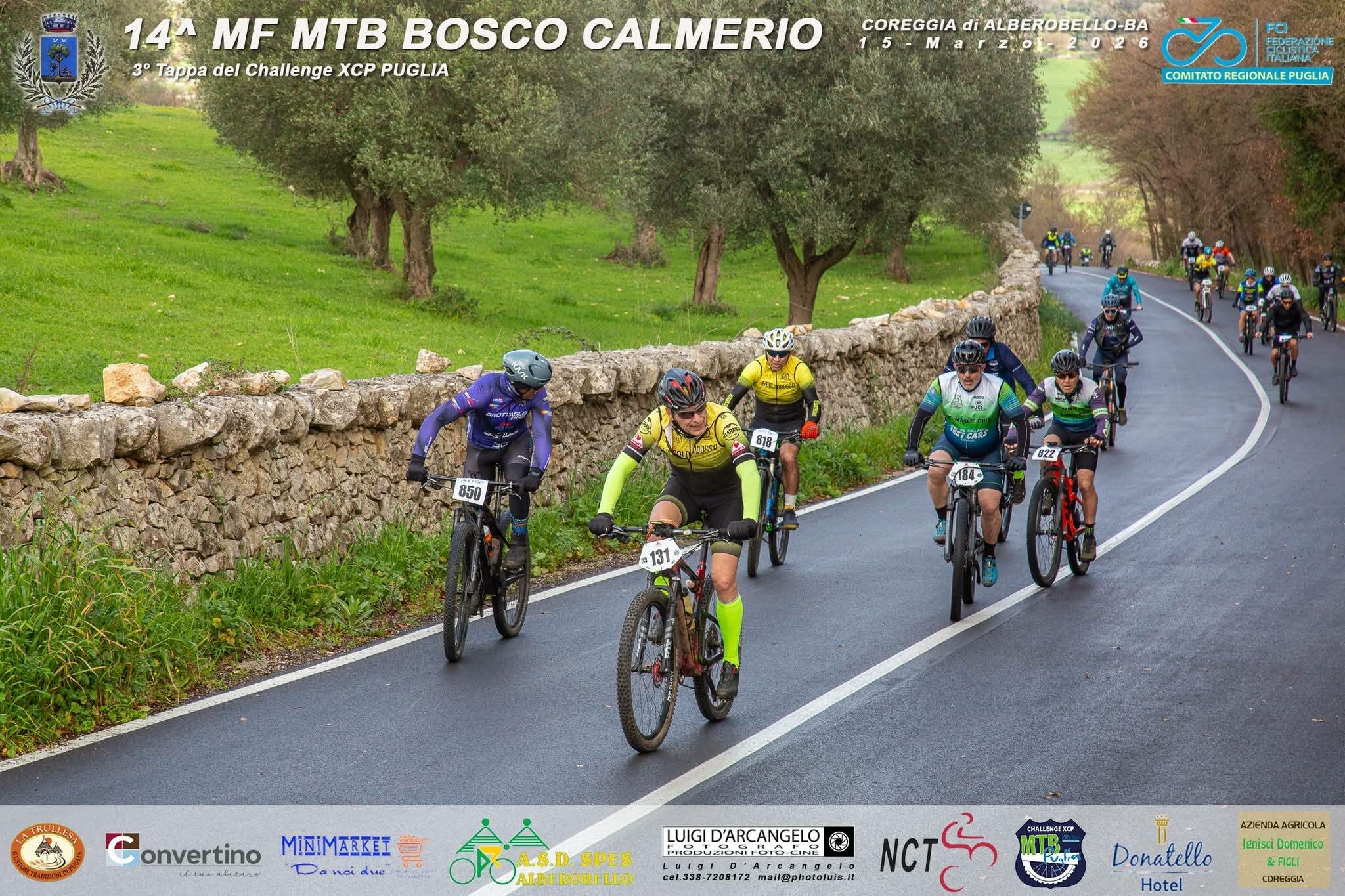 14-mediof-calmerio.jpeg