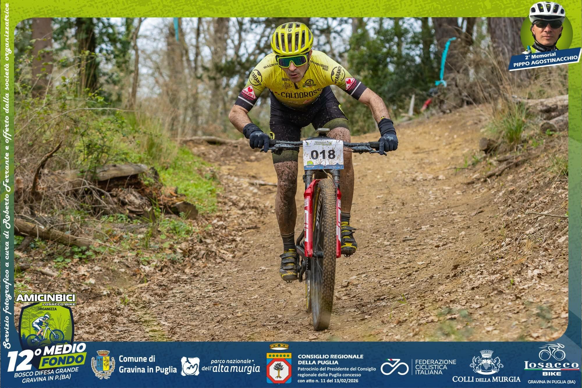 5-bosco-difesa-grande.jpeg 5-bosco-difesa-grande.jpeg