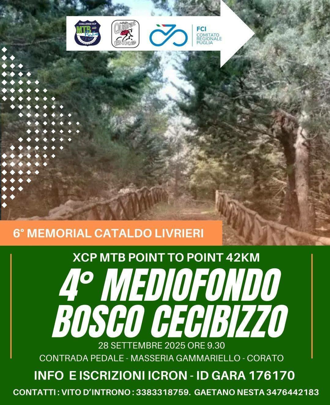 cecibizzo-2.jpeg