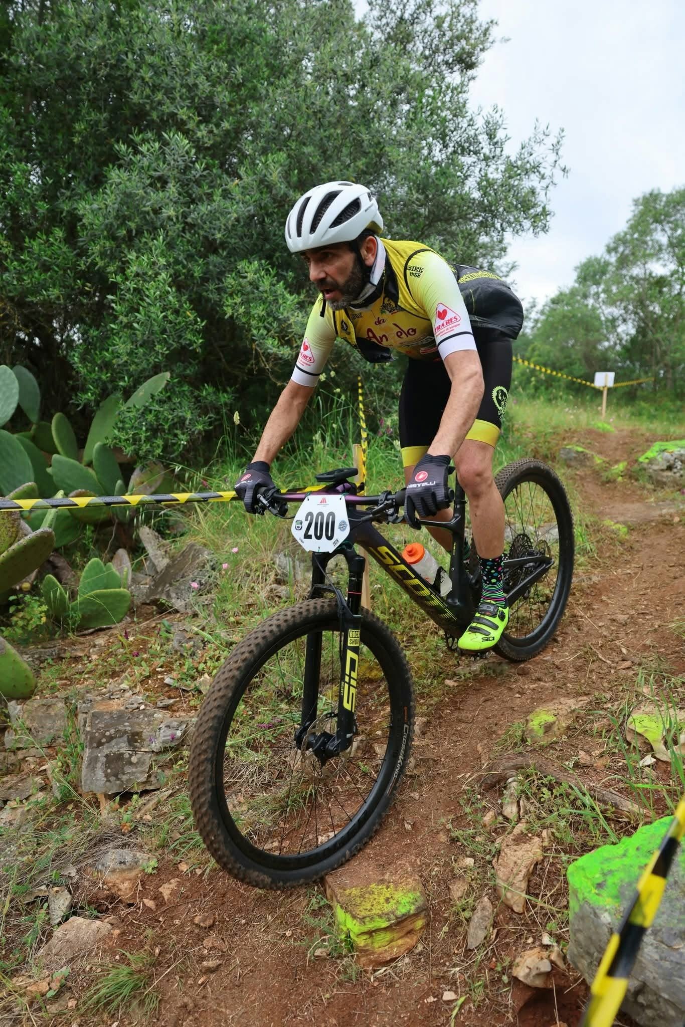3-xc-lama-balice-10.jpeg