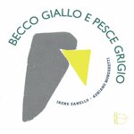 becco-giallo-e-pesce-grigio