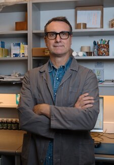 farmacia raimondi -logo.jpeg