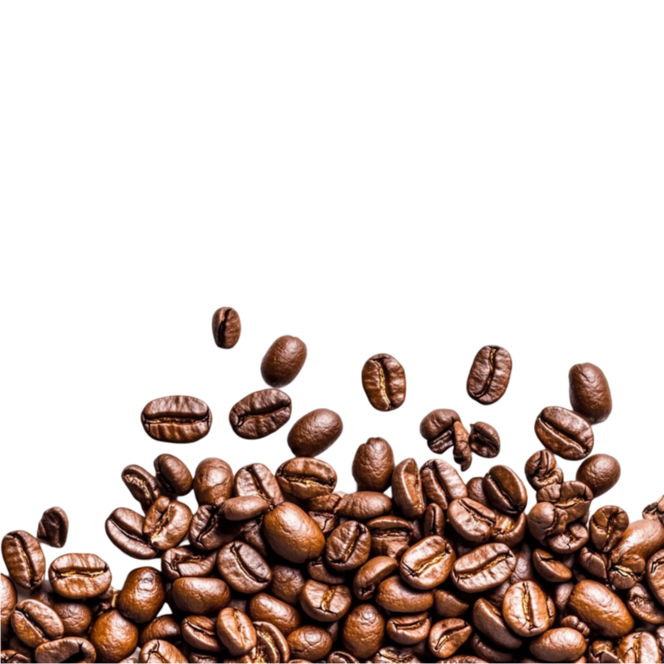 pile-of-roasted-coffee-beans-on-white-background-a-transparent-png_11289090