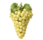 chardonnay-igt-bib-110lt