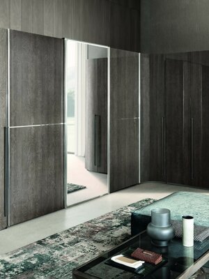 cg%20-elite-night_silver-birch%20armadio.jpeg cg%20-elite-night_silver-birch%20armadio.jpeg