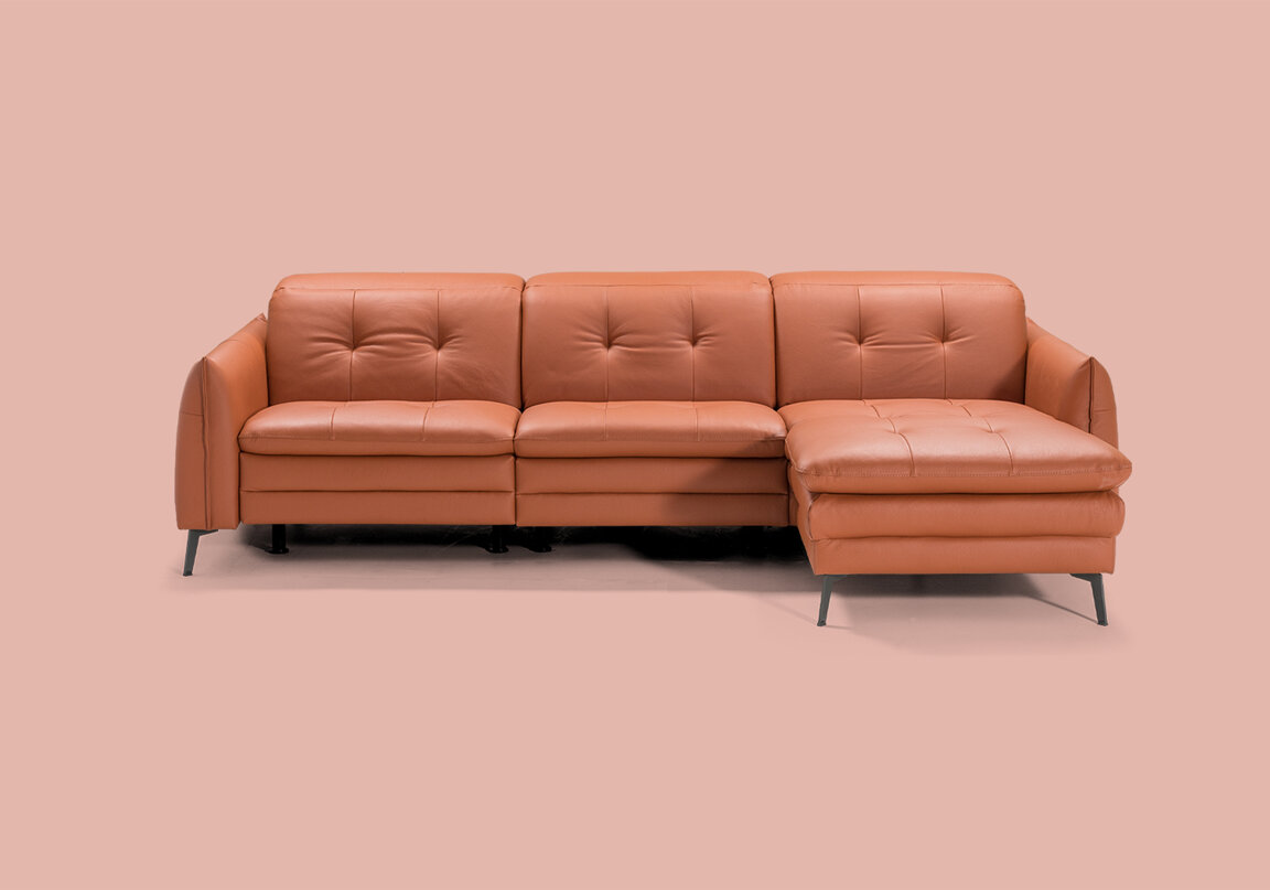 jago-1.jpeg jago-1.jpeg