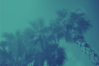 screenshot 2026-01-27 alle 15.14.07