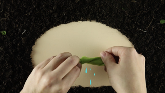 screenshot 2026-01-21 alle 13.27.08