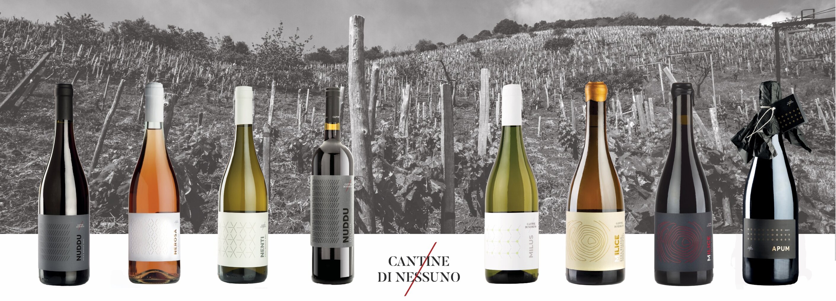 tutti i vini 2022.jpeg tutti i vini 2022.jpeg