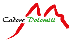 consorzio cadore dolomiti trasp.
