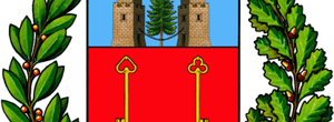 Comune%20di%20Pieve%20di%20Cadore Comune%20di%20Pieve%20di%20Cadore