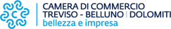 logo camera commercio trevisobelluno-marchio-colore logo camera commercio trevisobelluno-marchio-colore