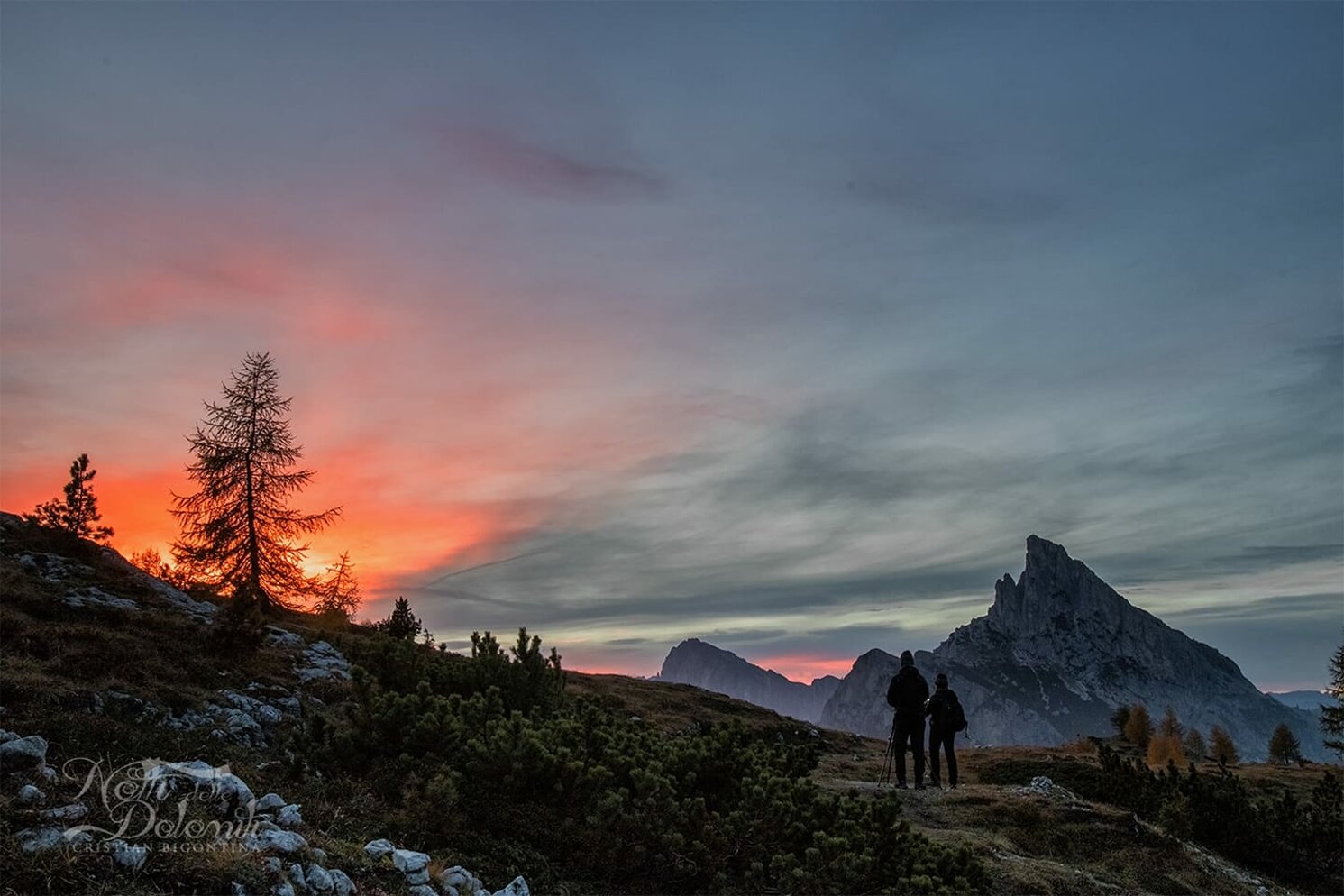 252177850_1901167470077004_2450039057179624487_n.jpeg 252177850_1901167470077004_2450039057179624487_n.jpeg