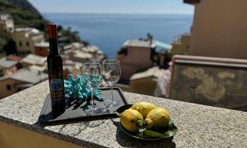 img_4523.jpeg img_4523.jpeg