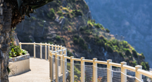 img_4543.jpeg img_4543.jpeg